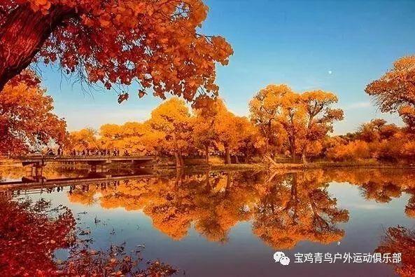 贪玩蓝月